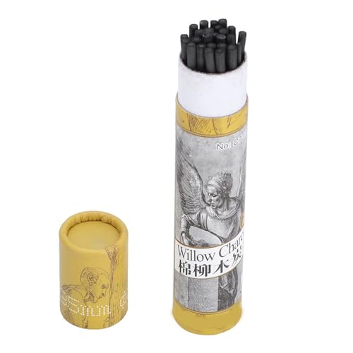 25 st Charcoal Sticks Vine Sketch Charcoal Pencils voor kunstschilder Schetsen en Tekenen (7334)