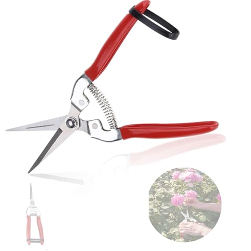 plantenschaar en snoeischaar, Kleine rechte schaar, Oogstschaar, Snoeischaar, Snoeischaar, Snoeischaar, Snoeischaar, Snoeischaar, Snoeischaar, Snoeischaar