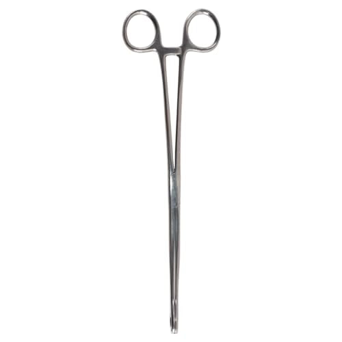 Voedertang voor reptielen en slikken, geschikt voor de dagelijkse voedselbehoeften van reptielen zoals insecten, slikken, spinnen, schorpioenen, etc