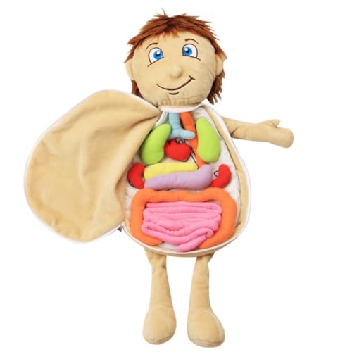 Model Anatomy Doll 3D Human Body Organs Plush Doll Early Education Educational Toy Multi-Colored Stuffed Animal Montessori Learning Doll Kindergarten Kinderen verwijderbare puzzel Speelgoed