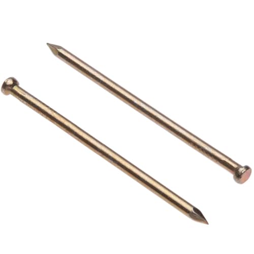 Panel Pins Afwerking Nagels Veneer Pins (verpakking van 100) Geel gegalvaniseerde Nail Gegalvaniseerd Heavy Duty for DIY and Crafts Home Decor Houtwerk Meubels Bouwgrootte: Lengte 60mm Diameter Nagels 2.5mm
