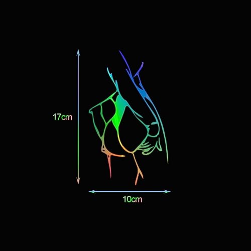 5Stuks Auto Decoratieve Sticker Sexy Vrouwen Body Novelty Silhouette Sticker Reflectieve Lijm Sticker Scratch Cover Protector voor auto venster achterste Bumper Laptop Notebook Decoratie (zwart)