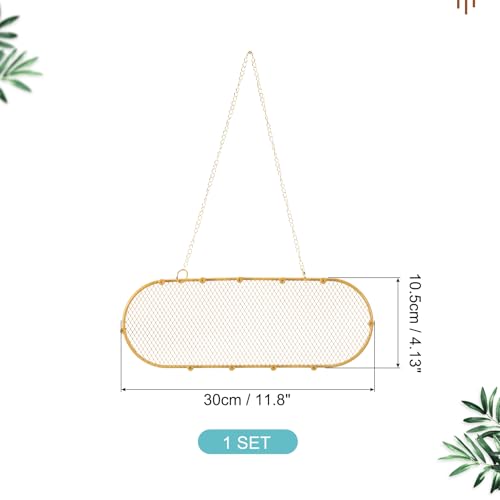 1 Set oorbellen houder Organisator Muur, kettinghouder hangende oorbellen Organisator Ovale sieraden Organisator Muur, Klein