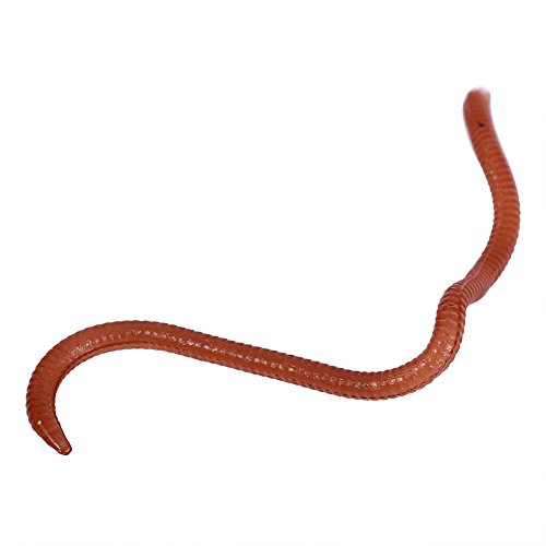 Perch, nep vissen Wormen, Lobwormen voor het vissen, nep voor vissen, visgerei,Vissen Plastic Wormen 10cm gevormd Fishy geur zacht vissen Lure Bait met doos voor 4