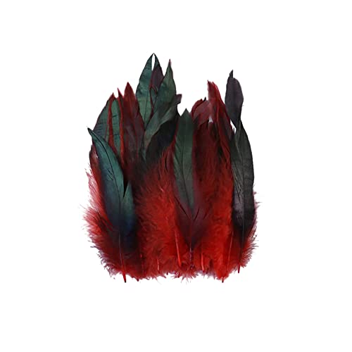 Pack of 100 Craft Feathers, Red Faucet Feathers, 14-20 cm, DIY Craft Feathers for Craft Projecten, Dream Catcher, DIY Oorbellen, Carnaval Kostuums, Partij, Hoeden, Maskers, Juwelen, Paaseieren Decoratie, Pheasan Feathers