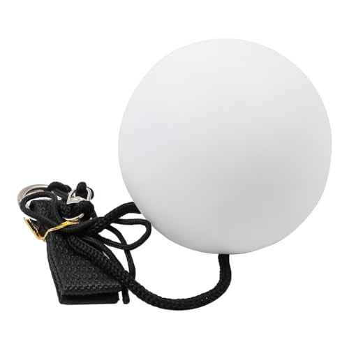 CENPNK Stuks LED Light Up Swinging Balls, Rainbow Colors and Strobe Effects, Poey Balls for Circus Games, Juggling, Light Up Spins, Swings, Belly Dance 4