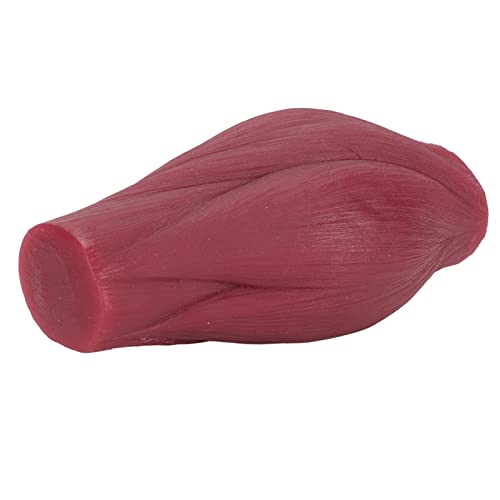 1 lb Menselijk lichaam Muscle Replica Model, Muscle Replication Model voor Nutritionist Enthousiaste Atleet Fitness - Realistische Textuur 3