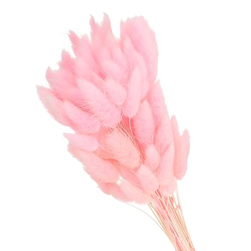 15,7 inch Konijn staart gedroogde bloemen, 70 stukken natuurlijke zachte kunstmatige gedroogde konijn staart voor thuis decoratie, Boho vaas, bruiloft, roze