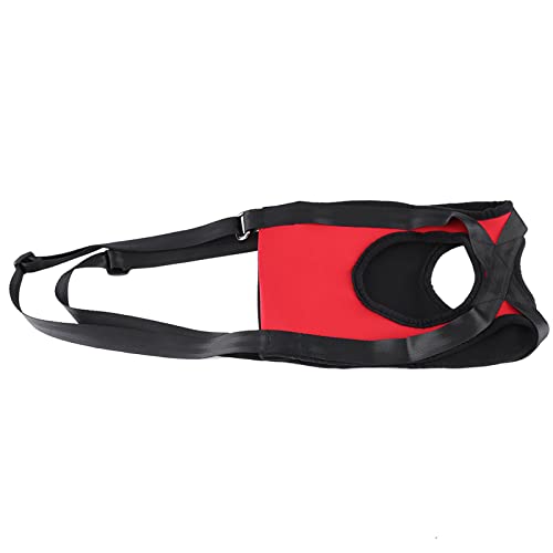 Hondenondersteuning, Pet Walk Out Aid Lifting Pull Vest Sling Support Revalidatie Outdoor en Gezonde Grooming Tool voor Oude en Gewonde Honden (M, Front Leg)