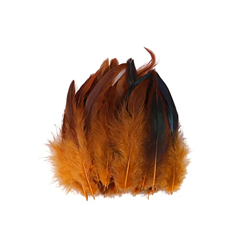 Pack of 100 Craft Feathers, Orange Faucet Feathers, 14-20 cm, DIY Craft Feathers for Craft Projecten, Dream Catcher, DIY Oorbellen, Carnaval Kostuums, Partij, Hoeden, Maskers, Juwelen, Paaseieren Decoratie, fazant Veren