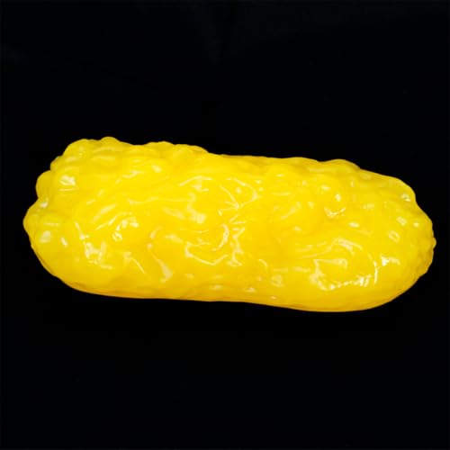 Sea Human Body Fat Replica, Blijf fit en gewichtsverlies Motivatie en Herinnering, Human Fat Tissue Demonstratie Model voor Geneeskunde Studenten 3