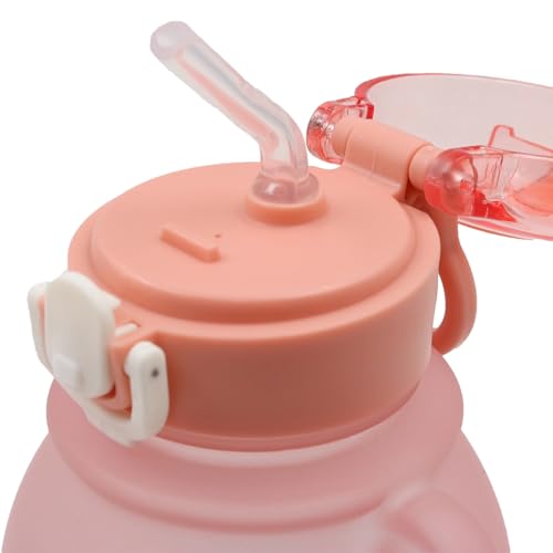 Zee 800ml Cute Gradient Kleur Waterfles Kawaii Beer Waterfles met stro en riem Portable Leakproof Drinkbeker voor meisjes Vrouwen Sport Camping Picknick Wandelen 5