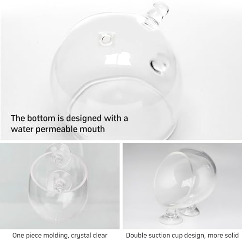 4 x Aquarium Plant Vases, 6 x 7 cm, Transparante Vaas voor Aquatische Planten met 8 Zuigbekers, Garnalen Voederbekers, Mini Glazen Bekers voor Aquascape, Hydroponische Planten, Decoratieve 4