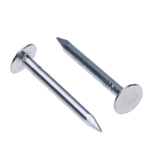 Clout Nails Gegalvaniseerd met Extra Large Head (Pack van 100 stuks) Gegalvaniseerde Lange Nails voor DIY en ambachten, Home Decor, Houtbewerking, Meubilair en Bouw Grootte: Lengte 25mm Shank Diameter2,5mm