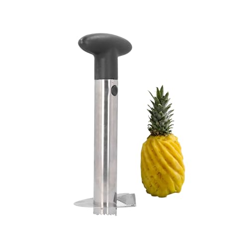 Ananassnijder Plastic roestvrij staal Ergonomische handgreep Eenvoudig te gebruiken Ananas Boor Keuken Gereedschap voor Fruit Stands Huishoudelijke keuken