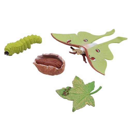 8 stuks Butterfly Life Cycle Ornament Model Simulated Insect Modellen voor kleuteronderwijs van kinderen