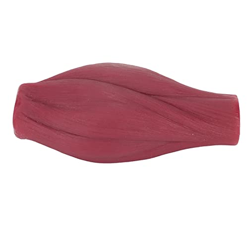 1 lb Menselijk lichaam Muscle Replica Model, Muscle Replication Model voor Nutritionist Enthousiaste Atleet Fitness - Realistische Textuur 5