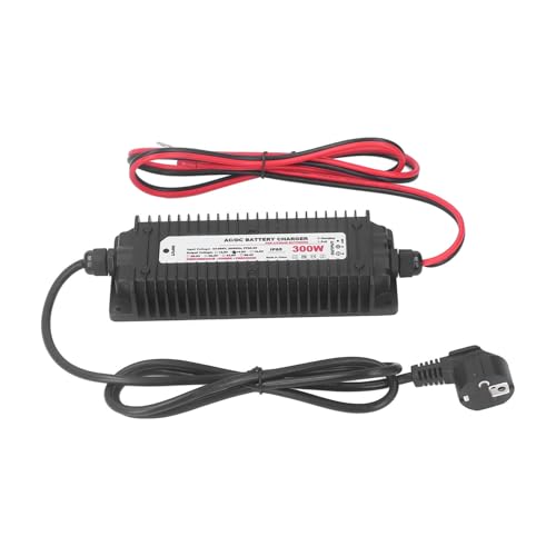 Smart Lithium Batterijlader voor LiFePO4 en LiMn2O4, 29.2V 10A AC naar DC Waterdichte Meervoudige Bescherming Kenmerken Batterijlader (EU-plug) 3