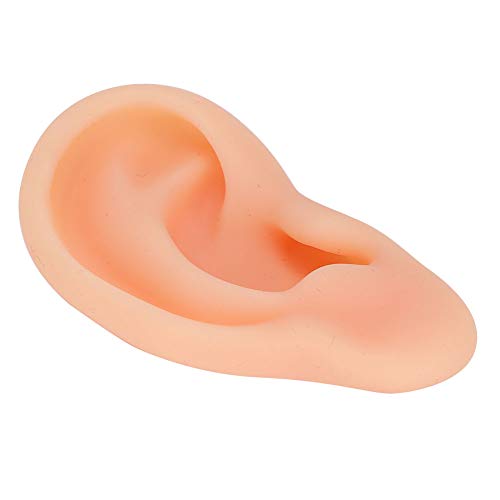 Siliconen oor, Gesimuleerd oor Model Acupunctuur Oefening Professionele Massage Lestool (Rechts) 4