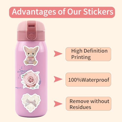 Coquette 100 stuks Sticker Set voor tieners Volwassenen Waterdicht Vinyl voor automotor Fiets Skateboard Snowboard Bagage Laptop Koffer Helm Motorfiets Computer 3
