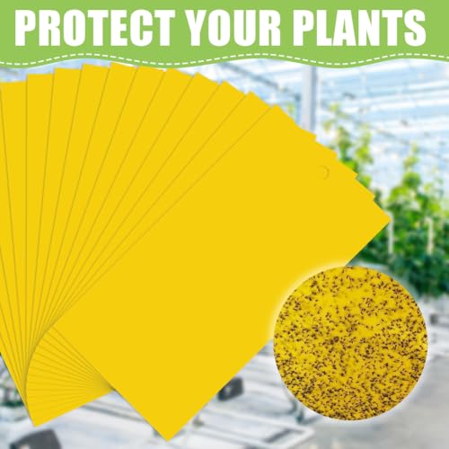 30 st Gele Begrafenis Gnats Control Stickers Vlieg Trap Gele Lijm Trap Schimmel Gnats Control Voor, Gele Panelen voor Binnen Planten, Ongediertebestrijding 4