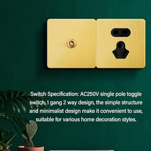 AC250V Schakelschakelaar, metalen paneel Schakelschakelaar 1-gangs 2-weg Power Switch met gouden kleur roestvrij staal paneel en geïsoleerde PC Base 3