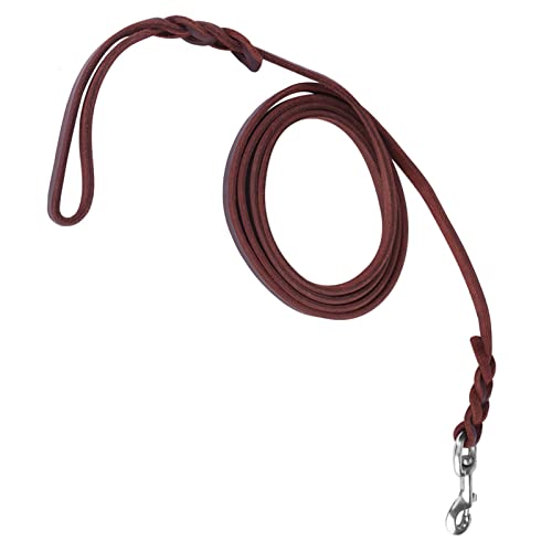 Hondenriem - Duurzame leren riem voor wandelen, hardlopen en trainen - Geschikt voor kleine tot middelgrote honden (De materiaallengte is 1,5 meter en de nettolengte) 4
