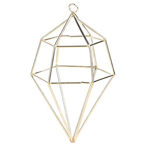 Hangende Planthouder, Geometrische Plant Hangende Plank, Bloempot, Hangende Houder, Metaal Plant Hanger, Hangende Plant Houder voor Home Decoratie