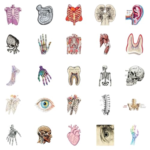 Hersenstickers voor jongeren en volwassenen, 50 stuks, brain vinyl stickerset, auto, motorfiets, fiets, skateboard, snowboard, bagage, laptop, koffer, helm, motorfiets, computer 3