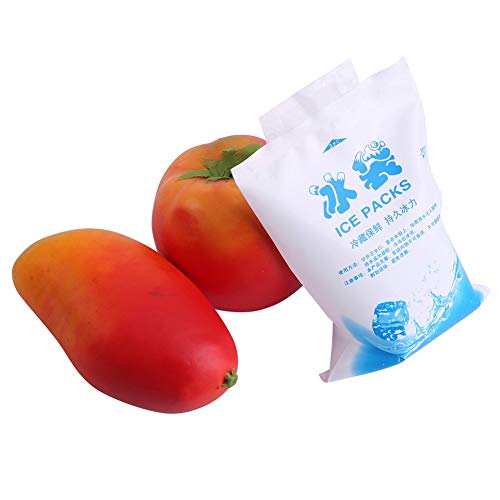 IJspakket voor voedseltransport 10st Herbruikbare Ice Packs Gel Cooler Bags for Food Plantaardige Wijn Medical Industrial Use(200ml) 4