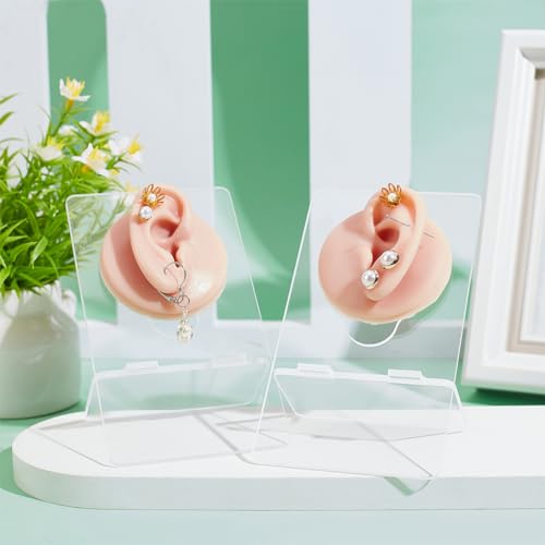 2 stuks Siliconen oor Model met Acryl Stand, Links en Rechts Flexibele Model Piercing Praktijk Realistische Zachte Oorvorm voor sieraden Display Acupunctuur Mannequin Leather 5