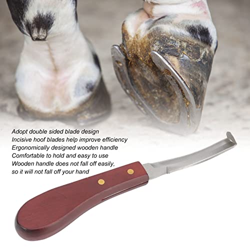Scherpe Hoefmes, Hoefmes met houten handvat Hoef Mes Razor Roestvrij staal Dubbelzijdig mes Ergonomische houten handvat Hoef Edge mes voor hoefhoef Hoeven