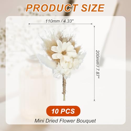 Mini boeket gedroogde bloemen 10 stuks Pampas gras natuurlijke wilde bloemen met stam decoratie Gypsophila bloem plant Boho voor ambachten DIY foto accessoires wit