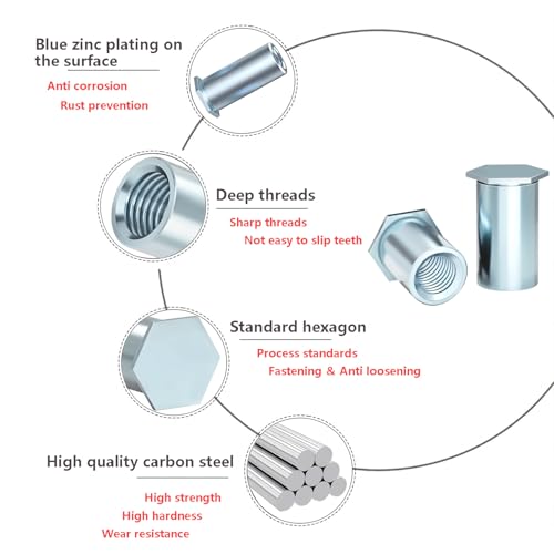 20 st Rivet Noten, M3 x 6mm Plat hoofd Rivet Nut, Galvanized Carbon Steel, Threaded Insert Nuts 5