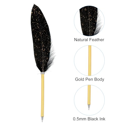 Black Feather Ballpoint Pennen Bulk, metalen houder Zwarte inkt Vintage Quill Schrijven Pennen met 5 stuks vullen voor Office, bruiloft handtekening 4