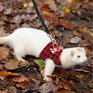 Hondentuig, verstelbare kattentuig, kleine dierlijke borst band voor Ferret, Guinee Varkens, Konijnen, Hamsters, Puppies, Kittens Kleding, Accessoires (M) 4