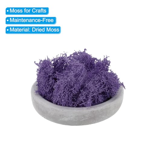 95ml Valse Mos, Geconserveerde Rendier Mos Kunstmos Lichens Centerpieces Decor Faux Mos voor Potted Planten Kerstmis ambachten, Donker Paars 3