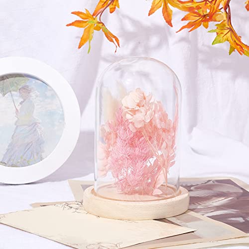 Glass Dome met eeuwige bloemen, Eternal Rose Under Bell Eternal Flower Glass Dome Cadeaudoosje Groetkaart voor Moederdag, Valentijnsdag, Kerstmis, Bruiloft, Tarwe kleur 5