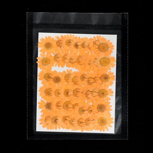 48 Stuks gedroogde geperste bloemen, natuurlijke madeliefjes, bloemen voor doe-het-zelf knutselen, Home Decoratie, Nagel decoratie, oranje 4