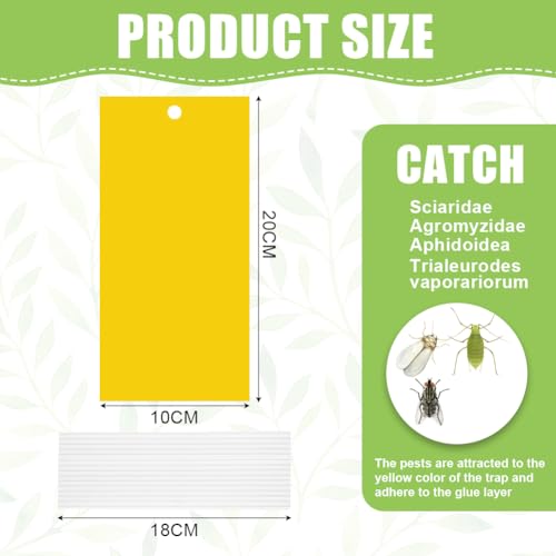 30 st Gele Begrafenis Gnats Control Stickers Vlieg Trap Gele Lijm Trap Schimmel Gnats Control Voor, Gele Panelen voor Binnen Planten, Ongediertebestrijding