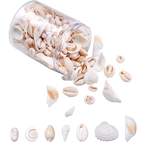 210st/doos Natuurlijke Shell Hangers Kralen 7 Style Ocean Beach Seashell Charms Geborstelde Shell Kralen voor ketting armband Wind Chimes Vis Tank Home Party