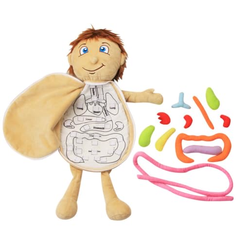Model Anatomy Doll 3D Human Body Organs Plush Doll Early Education Educational Toy Multi-Colored Stuffed Animal Montessori Learning Doll Kindergarten Kinderen verwijderbare puzzel Speelgoed