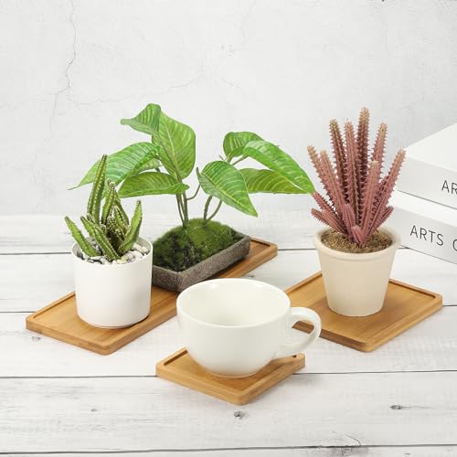 Bamboe Houten Saucer, 4 stuks 10x10cm Vierkante Houten Planten Drainer Bonsai Planten Dish Succulent Plant voor Home Balkon 5