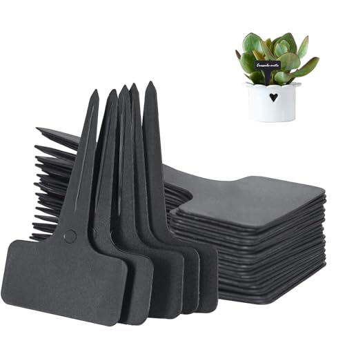 Verpakking van 120 plantenborden voor het schrijven, outdoor plantenborden, weerbestendig, 6 x 10 cm, T-type, weerbestendig, plastic, geschikt voor tuin, fruittuin, groenten, fruit en naametiketten met