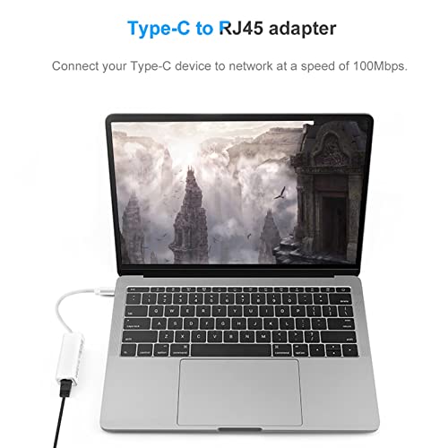 Portable Type C to RJ45 Adapter, USB 3.1 Type-C Type 100Mbps Ethernet LAN Network Adapter Converter voor Computer USB-C Network Laptop 3