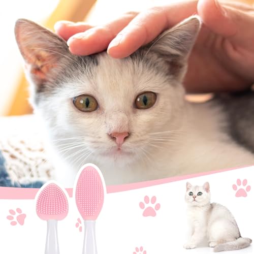 Cat Acne borstel, schoonmaakborstel voor het verwijderen van Acne en Blackheads op Cat Chin Cat Acne en Chin Care Kit zwarte komijn borstel behandeling kat acne behandeling op Chin 4