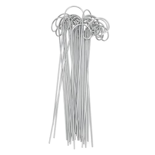 Tuin Plankenbord Haak, Plantenlabel houder, 30 stuks Plantenlabel Haakhouder Roestvrij stalen Tuin Markers Stake Plantenbord voor Bloem Pot Bonsai 200m m