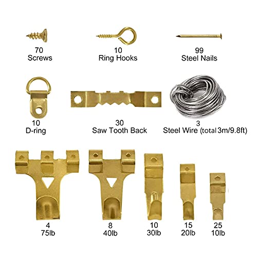 Sea 284 Pieces Photo Hooks, Heavy Duty Picture Hanging Kit voor Photo Frame Attachment, Verschillende Photo Hanger Set met stalen haken, Sawtooth hangers, D-Ring, Steel Wire, Nails, Schroeven