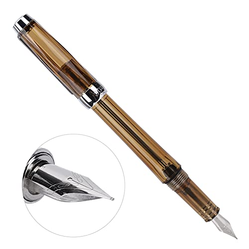 Grote Capaciteit Fountain Pen met Transparante Business Schrijven Pen, Geschikt voor Tekenen en Algemeen Handschrift. Ideaal voor feestdagen, kerstmis, verjaardagen. Glad