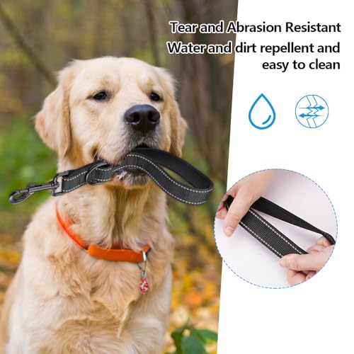 Strong Short Dog Lead, Training Lead voor honden met polslus, D-Carabiner 2,5 cm x 30 cm, Hondenherroeping Lead, Robuuste PVC Lead, Waterproof Recall Lead met metalen haken 5